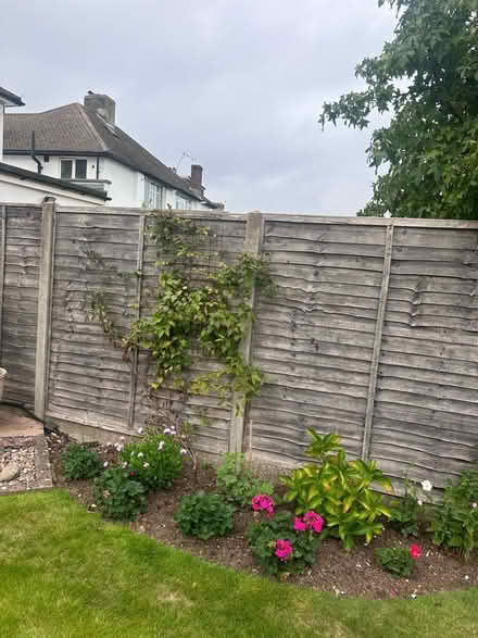 Photo of free Fence panels (Chelsham) #1