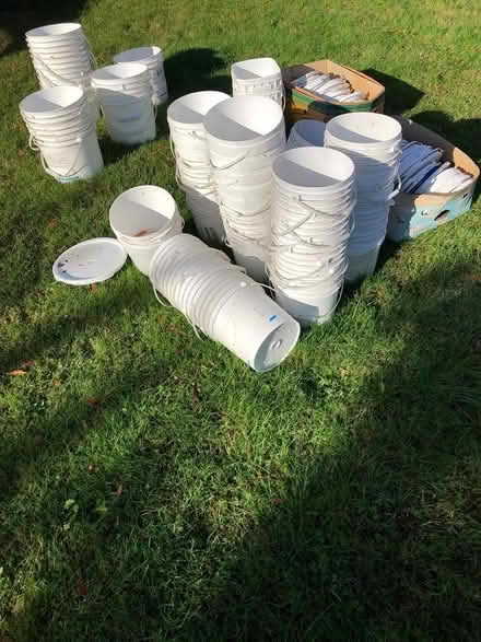 Photo of free Plastic Buckets (Aurora (Aurora (N Seattle/ Shoreline)) #1