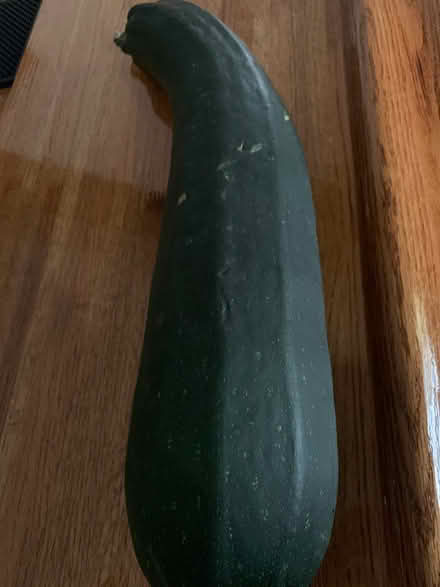 Photo of free 18” zucchini (SE Downers Grove) #1