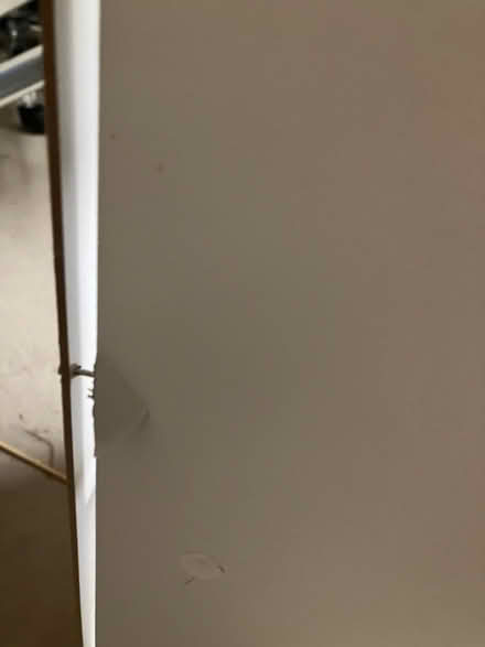 Photo of free Book shelves (E4) #2