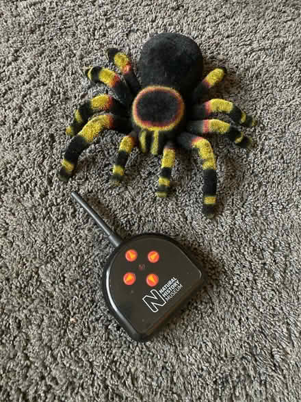 Photo of free Radio controlled spider (Shipley) #1