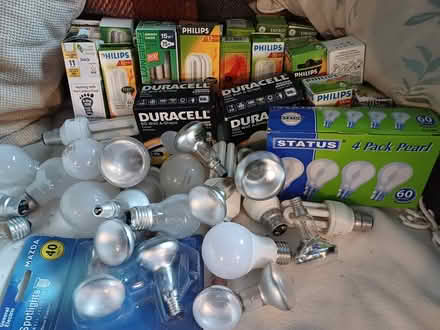 Photo of free Light bulbs (TF9) #1