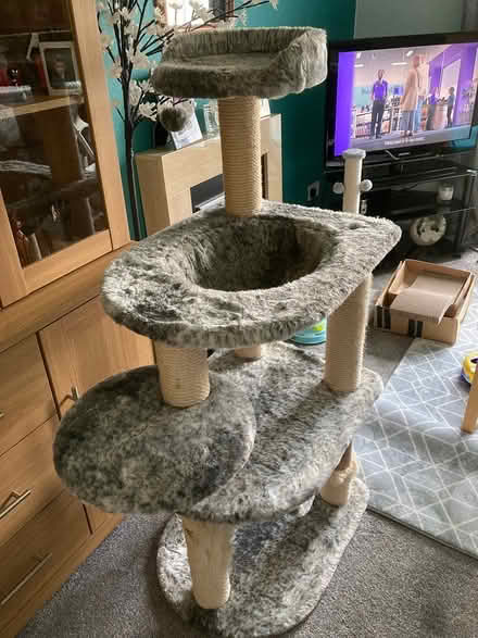 Photo of free Cat tower (Beighton S20) #1