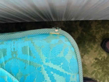 Photo of free Single/double bed (IP2) #3