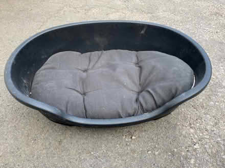 Photo of free Plastic dog bed (Hertford SG14) #1