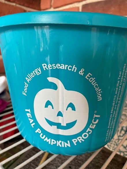 Photo of free Teal Halloween pumpkin (Odenton Kings Heights) #1
