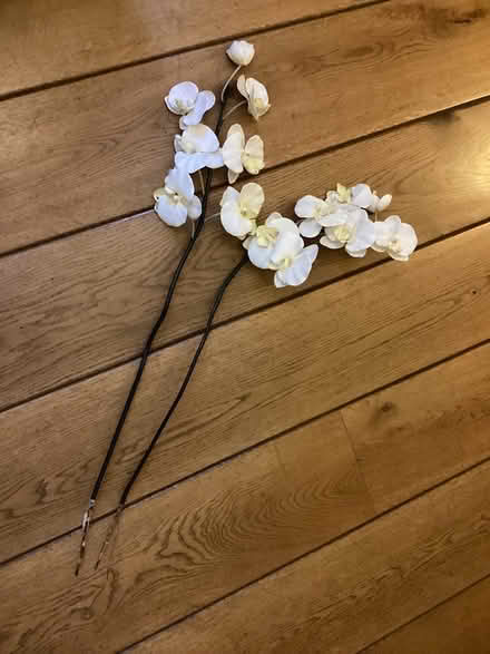 Photo of free Artificial Orchid stems (H Wycombe HP13 Amersham Hill) #2