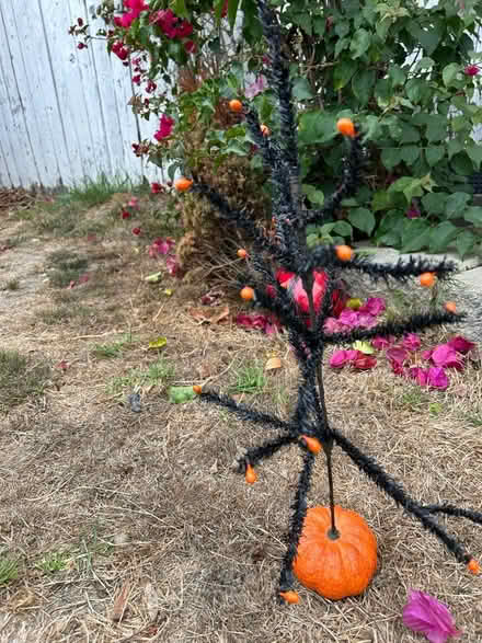 Photo of free Halloween decorations (Richmond, CA) #2