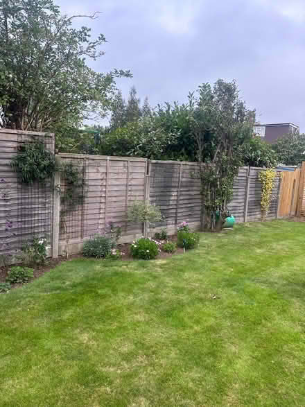 Photo of free Fence panels (Chelsham) #3