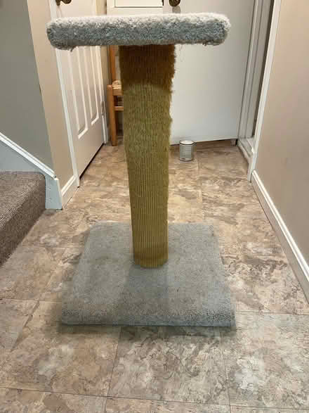 Photo of free Cat scratching post (Bethesda MD) #1
