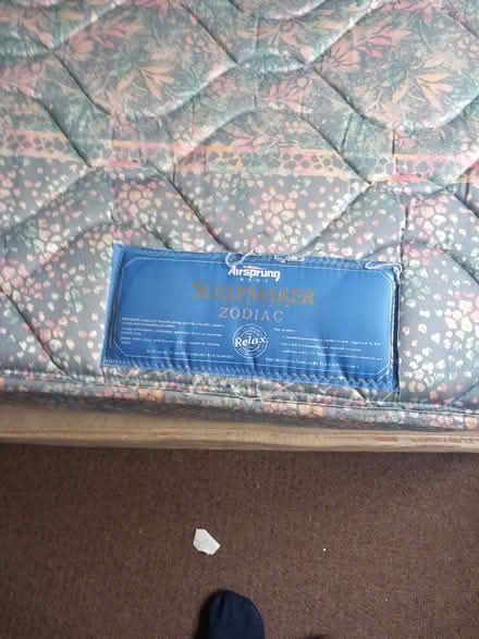Photo of free Single bed (New Milton BH25) #2