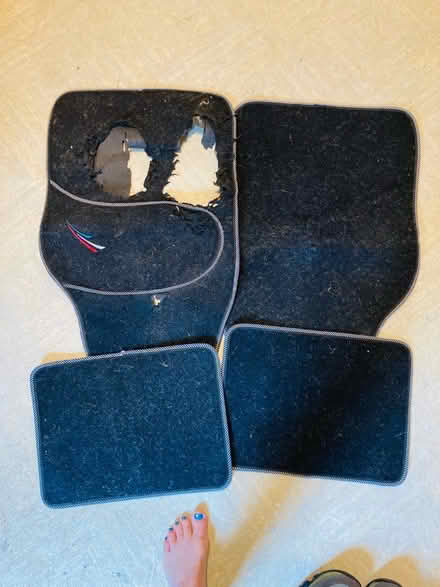 Photo of free Car Mats (Moretonhampstead) #1