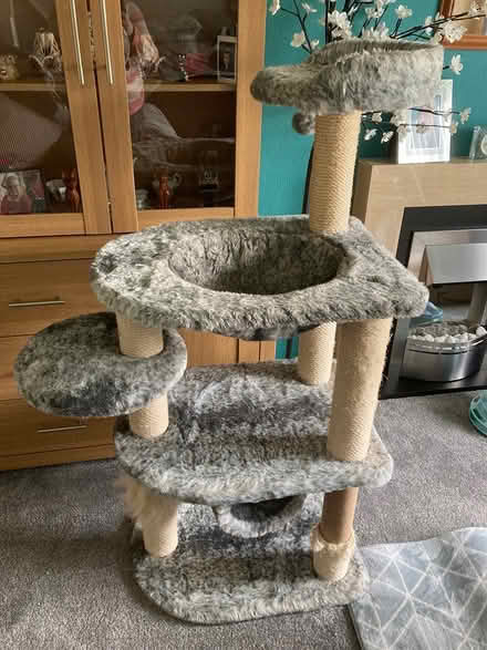 Photo of free Cat tower (Beighton S20) #2