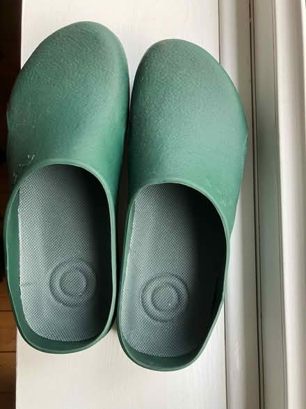 Photo of free garden clogs (Hazel Grove SK7) #1