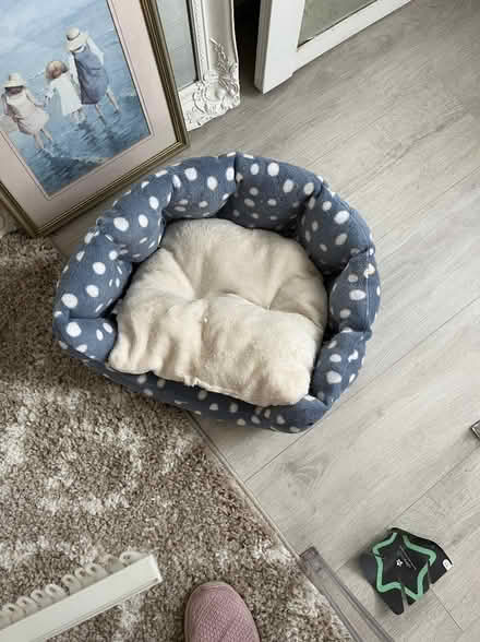 Photo of free Pet bed (Chalkwell SS0) #1