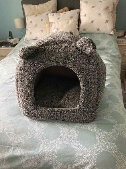 Photo of free Cat house/bed (Beighton S20) #1