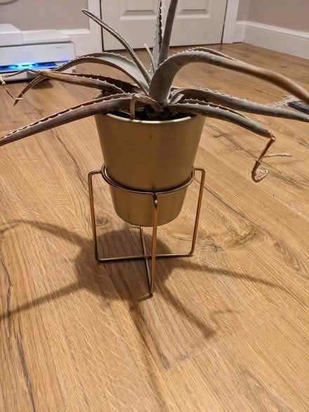 Photo of free 2 copper plant pot stands (Haghill G31) #2