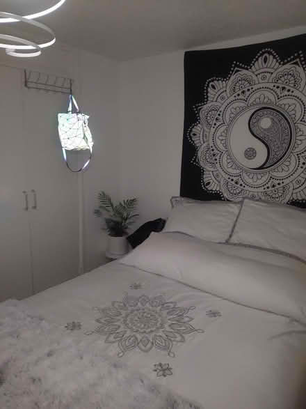 Photo of free quality king size bedding (Hartwood Green PR7) #1