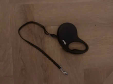 Photo of free Cat lead (Sanderstead) #1