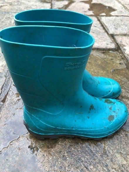 Photo of free Kids wellies size 4/5 (Park street, AL2) #1