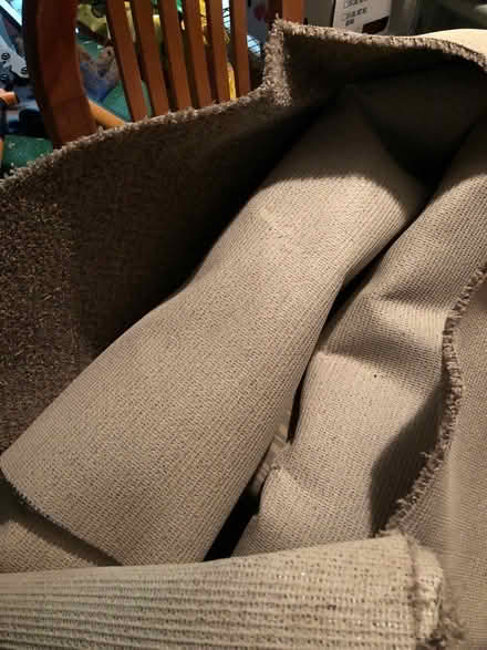 Photo of free Carpet (Bethesda) #1