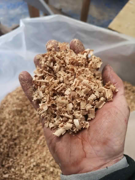 Photo of free Solid wood shavings (BA11 Frome) #2