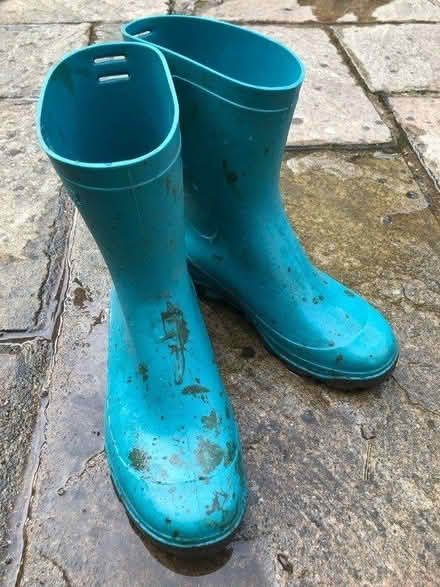 Photo of free Kids wellies size 4/5 (Park street, AL2) #4