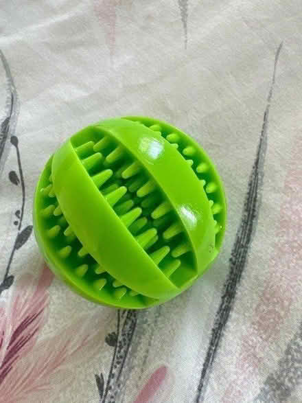 Photo of free Dog Toys (DE22) #1