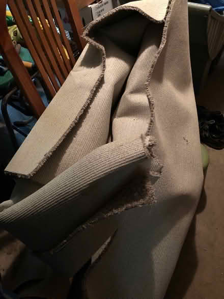 Photo of free Carpet (Bethesda) #2