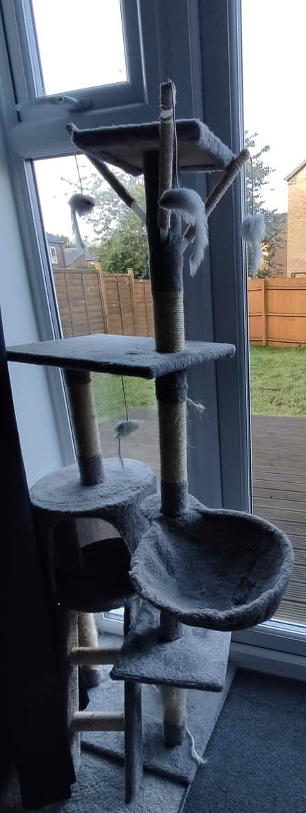Photo of free Cat tree in good condition (Coventry CV4 area) #1