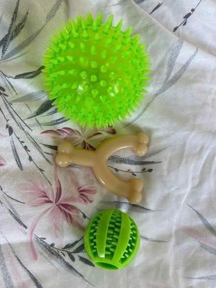 Photo of free Dog Toys (DE22) #4
