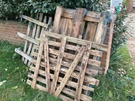 Photo of free Wooden Pallets (Lawford CO11) #1