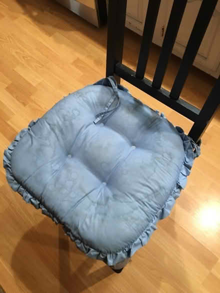 Photo of free Chair cushion (Catonsville) #1