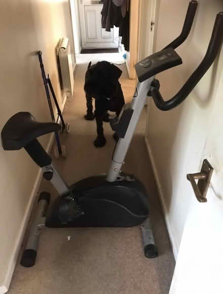 Photo of free Exercise bike (Lyneham) #1