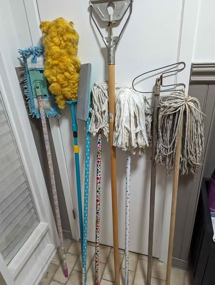Photo of free Mops, mop handles and duster (Nepean, Tanglewood) #1