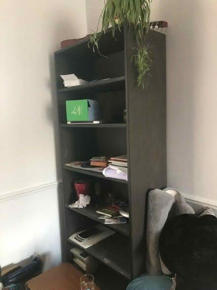 Photo of free Black bookshelves (E10) #2