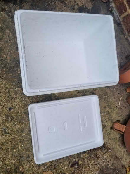 Photo of free Polystyrene lidded boxes (TW13, Hanworth) #1