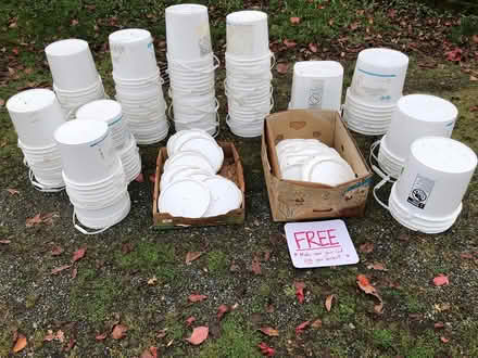 Photo of free Plastic Buckets (Aurora (N Seattle/ Shoreline)) #1