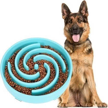 Photo of free slow feeder Dog Bowl #1