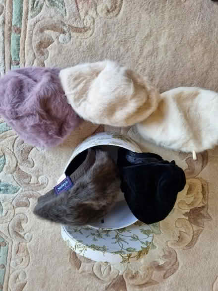 Photo of free Hats n shoes single Duvet set (Holland-on-Sea CO15) #1