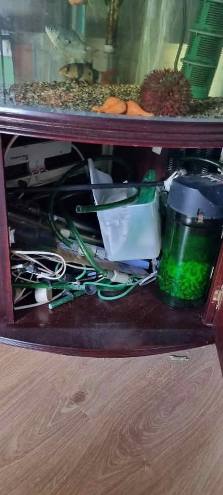 Photo of free 3ft fish tank with fish (New addington) #2