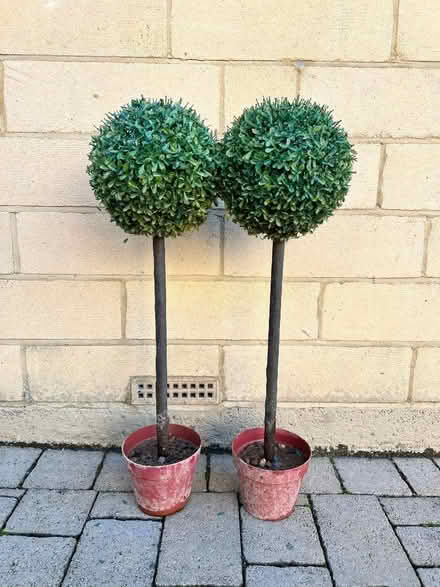 Photo of free 2 x artificial plants (Weston) #1