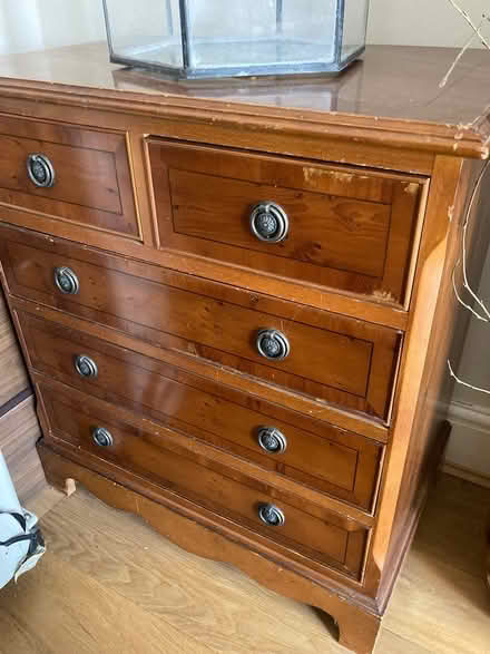 Photo of free Reproduction yew drawers (N3 finchley central) #1
