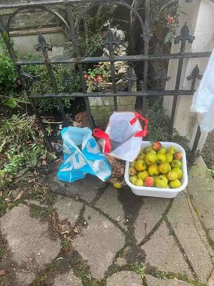 Photo of free Apples (Great Moor SK2) #1