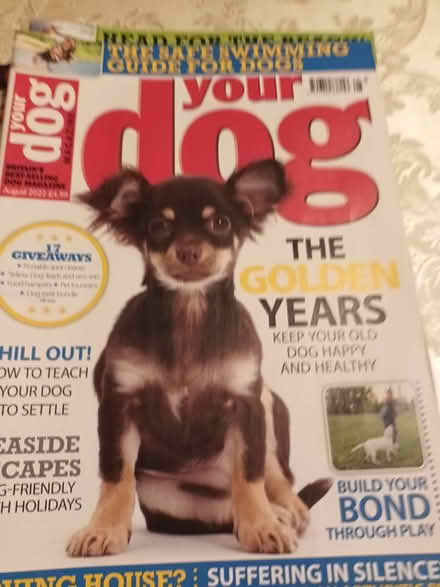 Photo of free Your Dog magazines (Coventry CV2) #2
