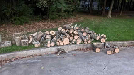 Photo of free Seasoned fire wood (Exton/Chester springs) #1
