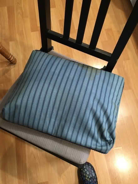 Photo of free Book reading cushion (Catonsville) #2
