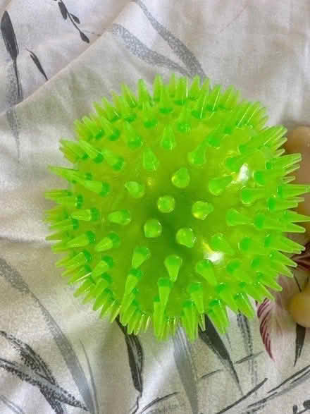 Photo of free Dog Toys (DE22) #2