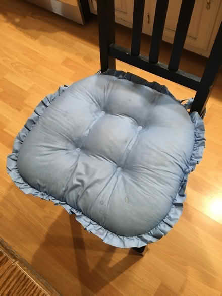 Photo of free Chair cushion (Catonsville) #2