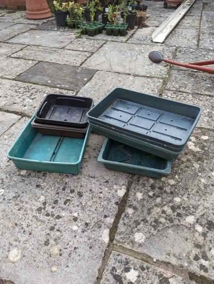 Photo of free Seed trays (Wellingborough NN8) #1